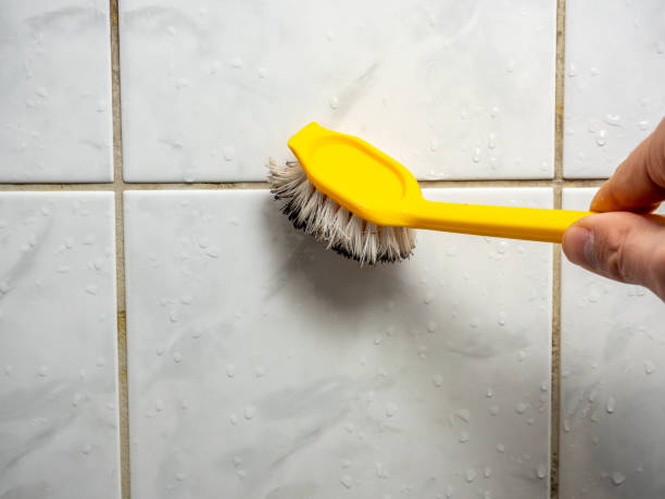 Trusted Ranchos De Taos, NM Mold Removal Experts