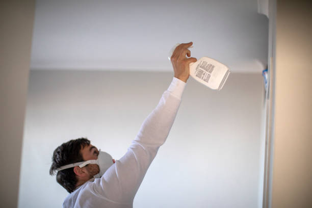 Best Residential Mold Removal  in Ranchos De Taos, NM
