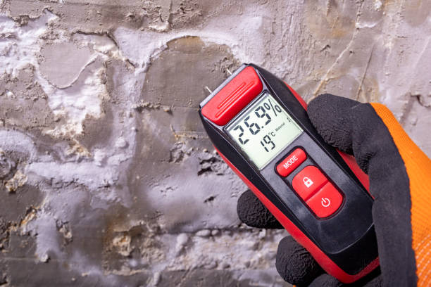 Best Mold Testing  in Ranchos De Taos, NM