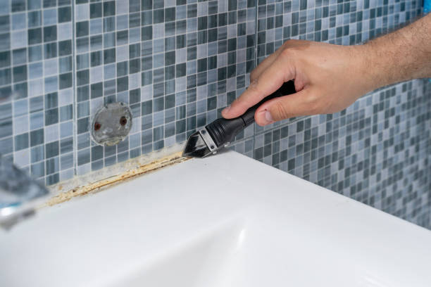Best Commercial Mold Removal  in Ranchos De Taos, NM